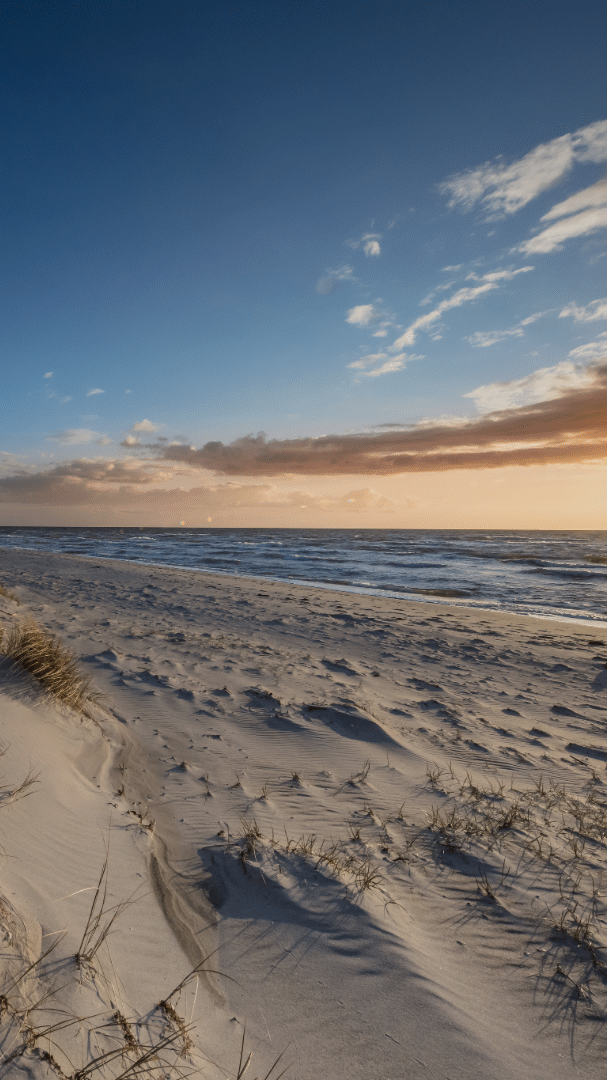 Strand. Wir lieben die Ostsee | Ferienwohnungen | Reisetipps